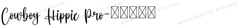 Cowboy Hippie Pro字体转换